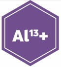 Al13+ logo